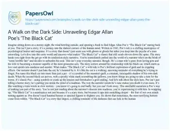 Essay on A Walk on the Dark Side: Unraveling Edgar Allan Poe’s ‘The Black Cat’