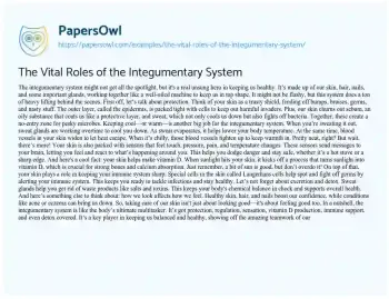 Essay on The Vital Roles of the Integumentary System