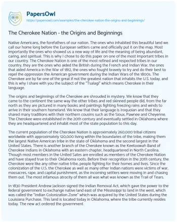 Essay on The Cherokee Nation – the Origins and Beginnings