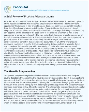 Essay on A Brief Review of Prostate Adenocarcinoma