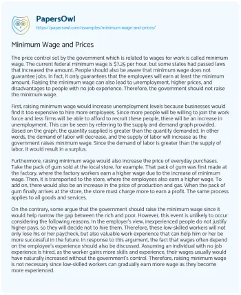 Essay on Minimum Wage and Prices