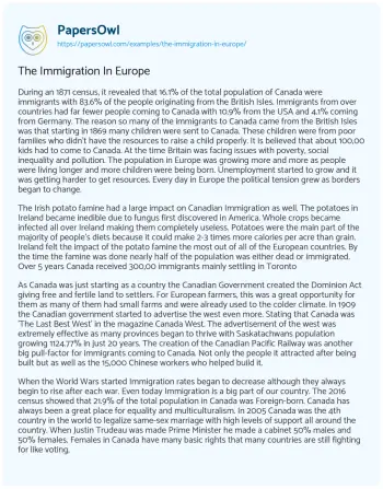 Essay on The Immigration in Europe