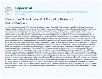 Essay on Johnny from “The Outsiders”: a Portrait of Resilience and Redemption