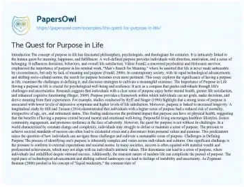 Essay on The Quest for Purpose in Life