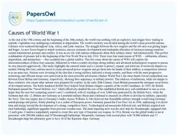 Essay on Causes of World War 1