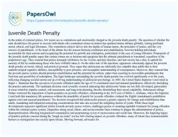 Essay on Juvenile Death Penalty