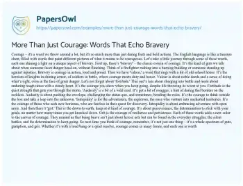 Essay on More than Just Courage: Words that Echo Bravery