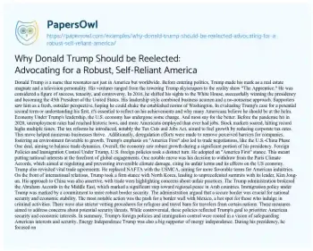 Essay on Why Donald Trump should be Reelected: Advocating for a Robust, Self-Reliant America