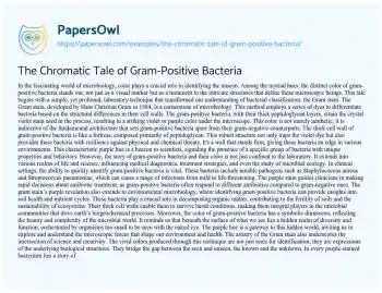 Essay on The Chromatic Tale of Gram-Positive Bacteria