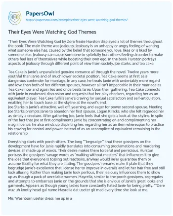 Essay on Their Eyes were Watching God Themes