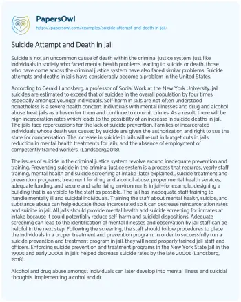 Essay on Suicide Attempt and Death in Jail