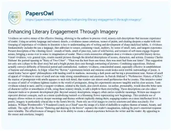 Essay on Enhancing Literary Engagement through Imagery