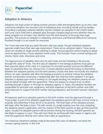 Essay on Adoption in Texas: a Comprehensive Overview