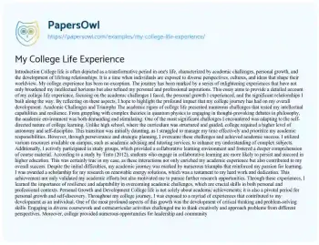 Essay on My College Life Experience