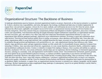 Essay on Organizational Structure: the Backbone of Business