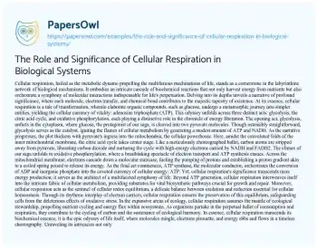 Essay on The Role and Significance of Cellular Respiration in Biological Systems