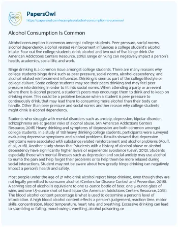 Essay on Alcohol Consumption is Common