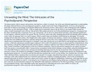 Essay on Unraveling the Mind: the Intricacies of the Psychodynamic Perspective