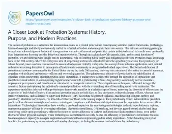 Essay on A Closer Look at Probation Systems: History, Purpose, and Modern Practices