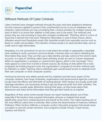 Essay on Different Methods of Cyber Criminals