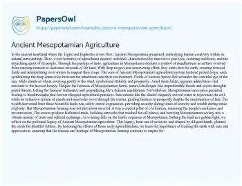 Essay on Ancient Mesopotamian Agriculture