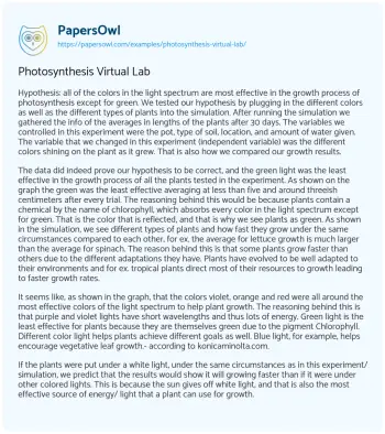 Essay on Photosynthesis Virtual Lab