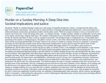 Essay on Murder on a Sunday Morning: a Deep Dive into Societal Implications and Justice