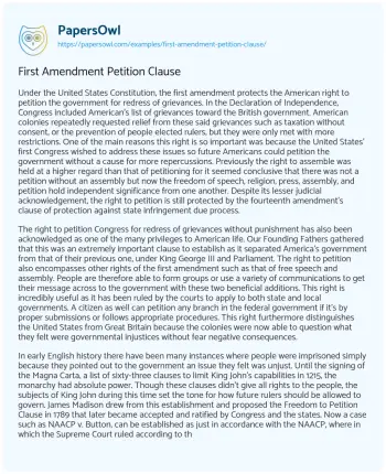 Essay on First Amendment Petition Clause