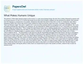 Essay on What Makes Humans Unique