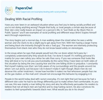 Essay on Dealing with Racial Profiling