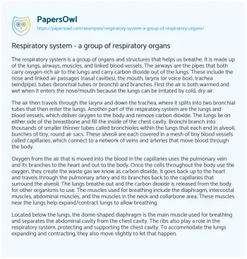 Essay on Respiratory System – a Group of Respiratory Organs