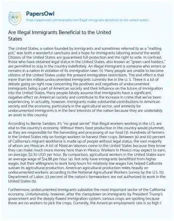 Essay on Are Illegal Immigrants Beneficial to the United States