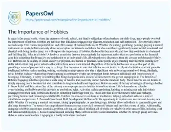 Essay on The Importance of Hobbies