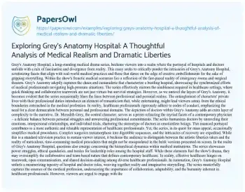 Essay on Exploring Grey’s Anatomy Hospital: a Thoughtful Analysis of Medical Realism and Dramatic Liberties