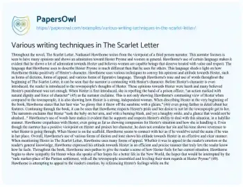 Essay on Various Writing Techniques in the Scarlet Letter