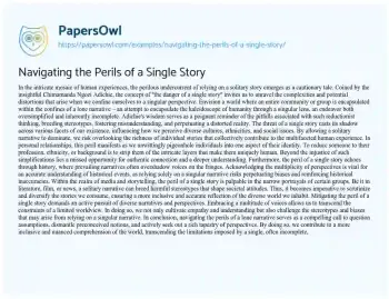 Essay on Navigating the Perils of a Single Story