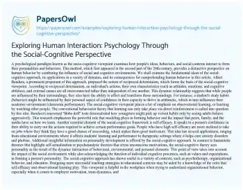 Essay on Exploring Human Interaction: Psychology through the Social-Cognitive Perspective