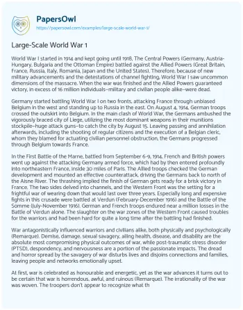 Essay on Large-Scale World War 1