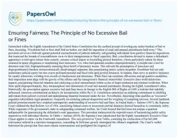 Essay on Ensuring Fairness: the Principle of no Excessive Bail or Fines