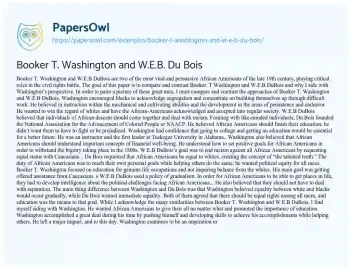 Essay on Booker T. Washington and W.E.B. Du Bois