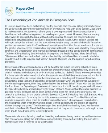 Essay on The Euthanizing of Zoo Animals in European Zoos