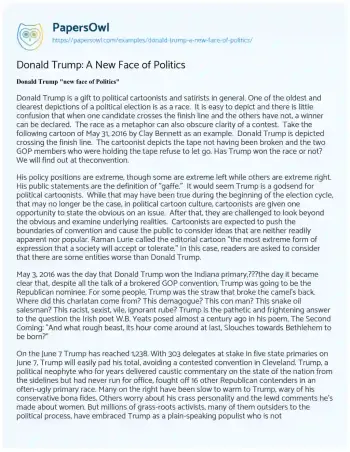 Essay on Donald Trump: a New Face of Politics 