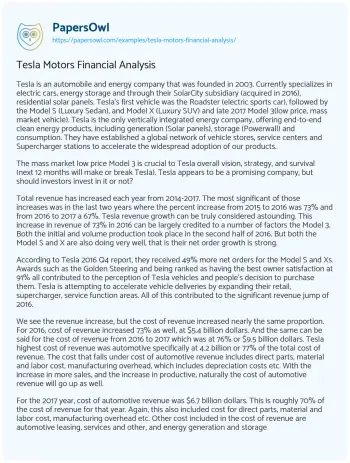 Essay on Tesla Motors Financial Analysis