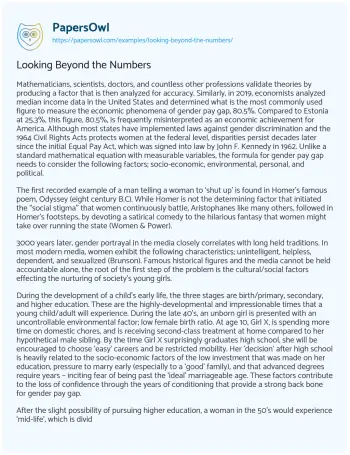 Essay on Looking Beyond the Numbers