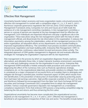 Essay on Effective Risk Management