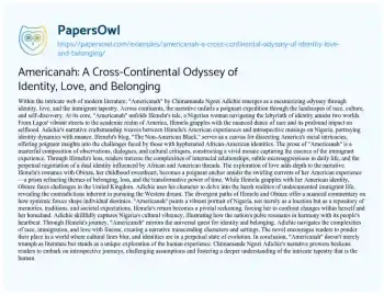 Essay on Americanah: a Cross-Continental Odyssey of Identity, Love, and Belonging