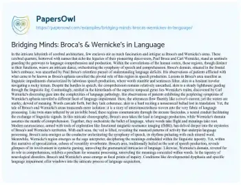 Essay on Bridging Minds: Broca’s & Wernicke’s in Language