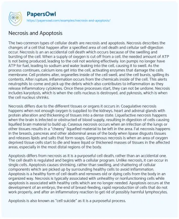 Essay on Necrosis and Apoptosis