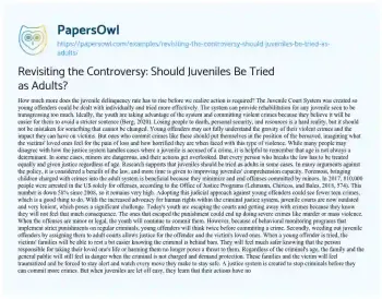 Essay on Revisiting the Controversy: should Juveniles be Tried as Adults?