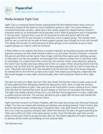 Essay on Media Analysis Fight Club